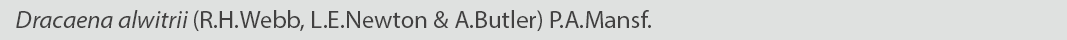Dracaena alwitrii