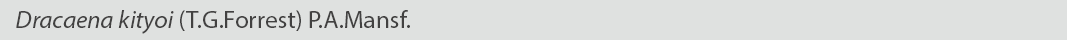 Dracaena kityoi