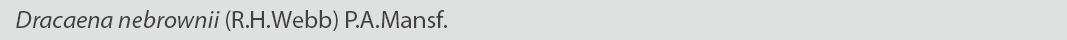 Dracaena newbrownii