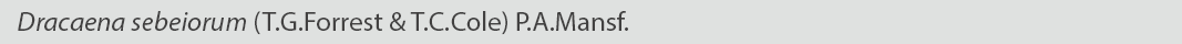 Dracaena sebeiorum
